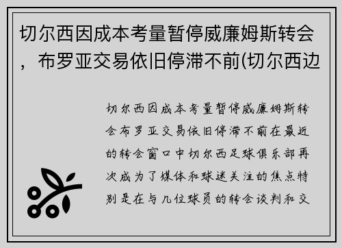 切尔西因成本考量暂停威廉姆斯转会，布罗亚交易依旧停滞不前(切尔西边锋威廉)